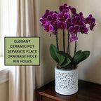 Large Ceramic Orchid Pot with Holes, 6 Inches Wide, for Indoors or Outdoors with Woven String Cut Out Design, Orchid Planters, Orchid Gifts (String Cut Out Design) - Image 2