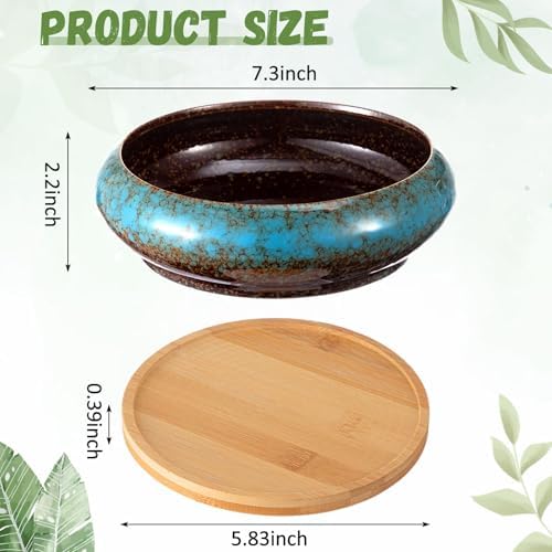 2 Pcs 7.3'' Shallow Succulent Planters Pots, Blue - Image 2