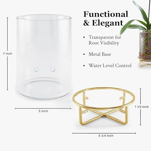 Pot & Pebble C9 Glass Propagation Station, Metal Base - LECA Orchid Vase - Image 6