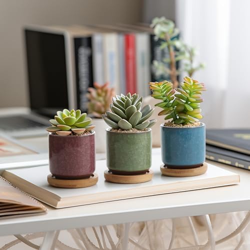 T4U 2.5 Inch Small Ceramic Succulent Planter Pot with Bamboo Saucer Set of 6, Ice Crack Glaze Porcelain Handicraft Plant Container Gift for Mom Sister Aunt Best for Home Office Desk Decoration - Image 4
