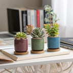 T4U 2.5 Inch Small Ceramic Succulent Planter Pot with Bamboo Saucer Set of 6, Ice Crack Glaze Porcelain Handicraft Plant Container Gift for Mom Sister Aunt Best for Home Office Desk Decoration - Image 4