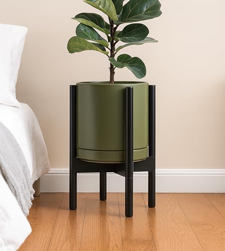D'vine Dev Ceramic Pot with Ebony Wood Stand, Olive, 10 in, 55-B-L-J - Image 4