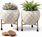 Metal Indoor Planter for Succulents with Drainage Hole and Cocopeat Disc, Set of 2 for Home Decor. (White & Gold) by Unknown