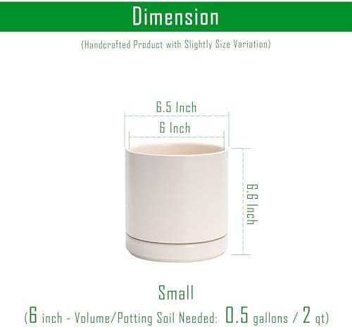 D'vine Dev 2-Pack Ceramic Pots with Saucers, Oatmeal, 6.5 in, 94-V-C-8 - Image 3