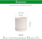 D'vine Dev 2-Pack Ceramic Pots with Saucers, Oatmeal, 6.5 in, 94-V-C-8 - Image 3