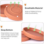 Glazed Terracotta Pot Sets & Saucers Set - Image 7