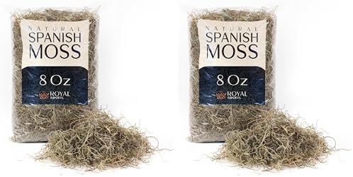 Royal Imports Preserved Natural Spanish Moss, Fresh Dried Shredded Loose Chunks, 8 Oz Bag (Pack of 2) by RoyalImports