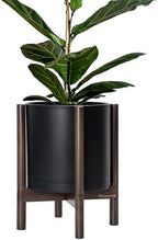 D'vine Dev Plastic Pot with Walnut Wood Stand, Black, 12 in, 55-C-O-2 by DvineDevPlanterPotsandStand