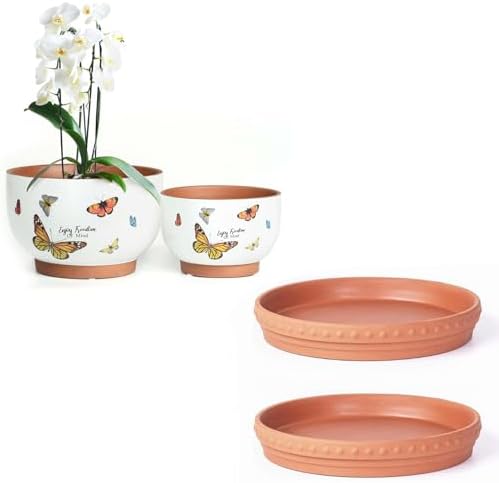 Glazed Terracotta Pot Sets & Saucers Set by YBXYIBOXUAN