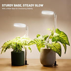 LBW Grow Lights for Indoor Plants, Full Spectrum Halo Grow Light with Base - Image 6