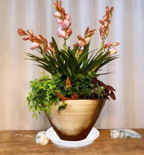 Plant Saucer Pot Tray 18 inch, 4 Packs Plastic Flower Planter Saucers and Drip Trays for Indoors Outdoors, Heavy Durable Plant Plate Water Catcher (White) - Image 7