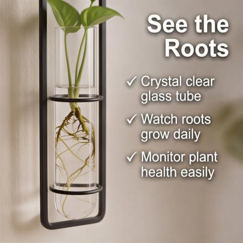 METALLIXITY Hanging Clear Glass Hydroponic Plant Propagation Tube Vase 2Pcs - Image 5