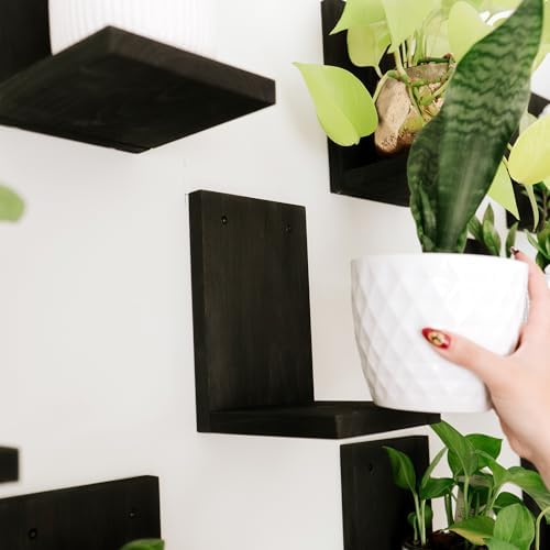Daniel's Plants 3 Pack Mid-Century Modern L Shaped Wooden Plant Shelf Kit | Wall Mounted Floating Shelves | Solid Wood Wall Planter Shelf | Midnight Black - Image 6
