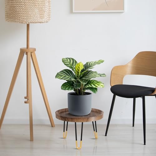 OBTAIN Plant Stand Indoor Outdoor,2 Set Mid Century Style Walnut Wood Color Plant Stand,Waterproof Design Modern Plant Table,Easily Assemble Come With Tools,Nice For Room Decor (M,L) - Image 5