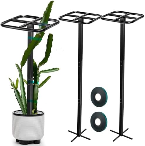 MorningRo 2 Pack 12 x 48 Inch Dragon Fruit Trellis Adjustable Garden Metal Plant Climbing Support with Wide Stretch Ties for Outdoor Vertical Gardens Vining Plants by MorningRo