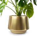 Gold Indoor Plant Pot 7 Inch Large Ceramic Planter With Drainage Hole - Modern Brass Flower Pot Centerpiece Vase - Decorative Greenery Potted for Indoor Plants by Decor+Trends