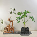 16 Inch Square Plant Saucer 2 Pack, Plant Saucers for Indoors, Large Heavy Duty Plastic Flower Plant Trays for Pots, Under Plant Water Catcher Tray for Potted Plants Outdoors Planter Water Tray - Image 6