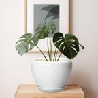 Ceramicfor Ceramic Pot for Plants - 10 Inch Planter with Drainage Hole and Saucer, Glaze Modern Round Flower Pot for Indoor Plants, Housewarming Gift, Home Decor, White - Image 7