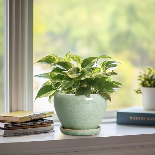 Ceramic Plant Pots 6 Inch, Ceramic Planter with Drainage, Green - Image 5