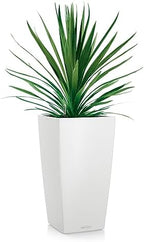 Lechuza 13130 Cubico Color 30 Self-Watering Planter for Indoor and Outdoor Use, 12" x 12" x 22", White Matte - Image 2