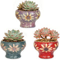 Sungmor Small Succulent Planters Set of 3, Beautiful Hand Crafted Ceramic Plant Pots Cute Cactus Pot, 4.9 Inch Flower Pots for Indoor Plants with Drainage, Desktop Windowsill Home Office Decor Pots by Sungmor