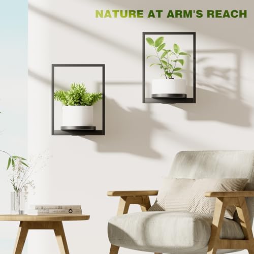 Hanging Planters for Indoor Plants - Aesthetic Photo Frame Style Wall Plant Holder - Metal Window Plant Shelves, Wall Plant Hanger for Lingving Room Home Gardening Wall Decor (4-Pack) - Image 5