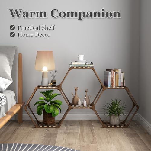 Tikea Hexagonal Indoor Outdoor Plant Stand, 6-Tier Wooden Plant Shelf - Image 4