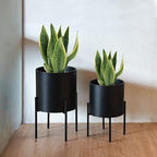 ARNIS Modern Plant Pots, Large Planters with Stand, Set of 2 Decorative Planters, Metal Plant Pots with Drainage Holes for Living Room, Office, Garden or Balcony, 10.5 &12.25 Inch, Black by ARNIS