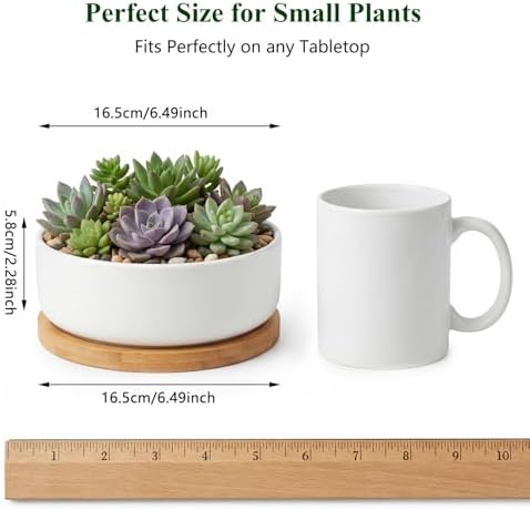 ZOUTOG 6 Pack 6" Ceramic Succulent Pots, White Planters with Drainage Tray - Image 2