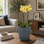 Elegant Orchid Pot with Holes, Large 6.5 inch Premium Porcelain Ceramic Orchid Pot for Repotting, Durable Ceramic Planter with Removable Saucer for Easy Drain, Planter Gifts for Moms - Image 7