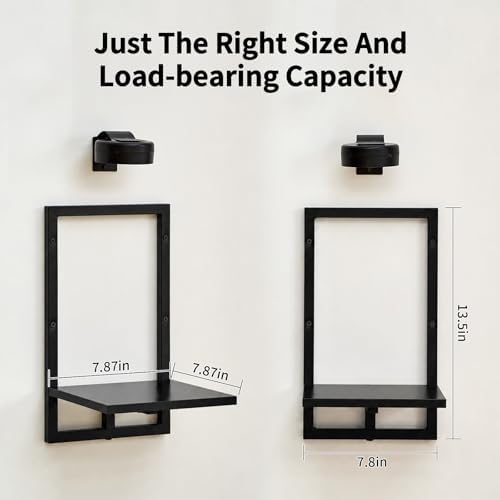 Wall Plant Holder with Grow Lights, Picture Frame Plant Shelves (3, Black) - Image 3
