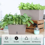 Oliz Window Box Planter 6 Pcs, 12.6 Inches Self Watering Rectangle Flower Plant Pots with Drainage Holes & Breathable Trays, Vegetable Planters for Windowsill Patio Garden Balcony Porch Yard (Khaki) - Image 3