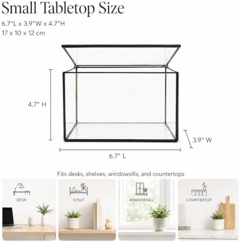 Small Glass Terrarium with Lid, Rectangle Geometric Planter Box, Clear Glass Container for Succulents, Moss, Air Plants, Ferns, Cactus, Tabletop Plant Display Decor, 6.7 x 3.9 x 4.7 in - Image 2