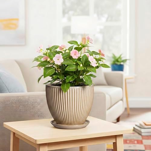 8 Inch Pots for Plants, Ceramic Planter with Saucer, Beige - Image 6