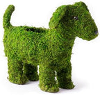 Deco Moss Animals, Puppy, 13in by SuperMoss