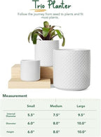 LE TAUCI 10+8+6 Inch Ceramic Pots for Plants, Indoor Planters with Drainage Hole and Plug, Raised Dots Cylinder Flower Pots Set of 3 for Living Room and Bedroom, Matte, White - Image 5