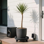 2Pack 13.98'' Plant Caddy with Wheels, Black - Image 6