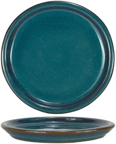 W&W Ceramic Plant Saucer - Plant Trays for Indoor Pots (Teal, 13 inches, 2 Packs) by WWHomeDecor