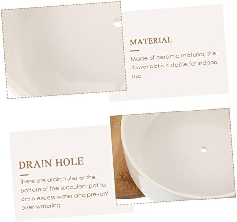 Milisten Ceramic Succulent Pot with Bamboo Tray Set Indoor Garden Planter 1-Piece Multi-Functional Flowerpot for Succulents Bonsai - Image 5