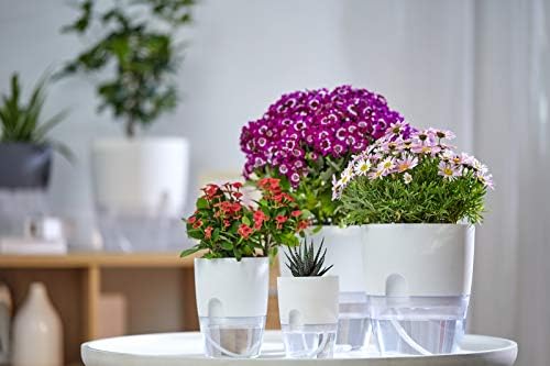 Self Watering Planter for Indoor Plants, 2 Pack 9.3 Inch Flower Pot Modern Decorative Plastic Planter with Extra Large Water Storage for All House Plants, Flowers, Herbs(White) - Image 2