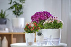 Self Watering Planter for Indoor Plants, 2 Pack 9.3 Inch Flower Pot Modern Decorative Plastic Planter with Extra Large Water Storage for All House Plants, Flowers, Herbs(White) - Image 2