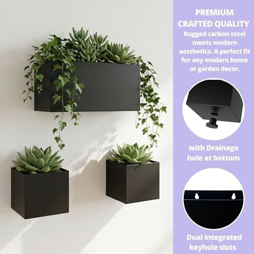 LaLaGreen Wall Planters (3-Pack Set) Rectangular Wall Mounted Hanging Flower Boxes for Indoor Plants, Black Carbon Steel Metal Windox Box Planter Plant Modern Balcony Windowsill Herb Home Garden Decor - Image 7