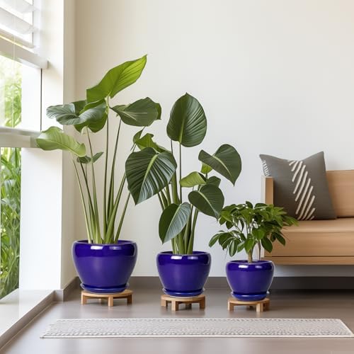 Flower Pots for Indoor Plants- Ceramic Pots for Plants 10 Inch 8 Inch 6 Inch Plant Pots with Drainage Holes and Saucers Decorative Large Planters for Outdoor Plants Set of 3 Blue - Image 2