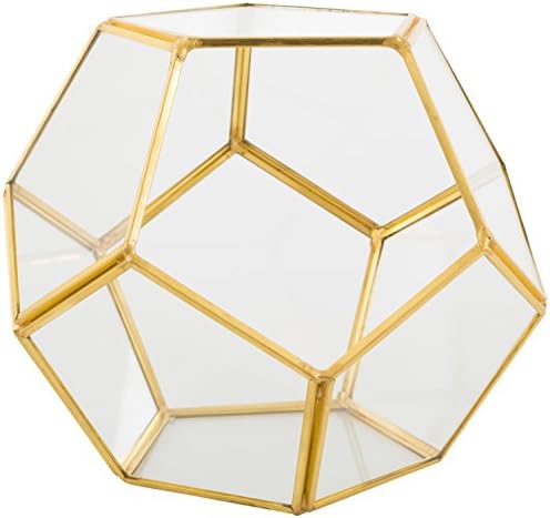D'Eco Glass Gold Sphere Plant Terrarium and Centerpiece (Dims:8.2x8.2x8.2) - Image 3