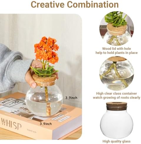 Plant Propagation Station,Hydroponic Terrarium Vase,Desktop Glass Planter Station,for Houses,Garden Decorations,ropagating Hydroponic Plants,Centerpiece Office,Home Garden Decor (9) - Image 2