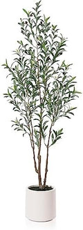 LOMANTO Artificial Olive Trees, 6 ft Tall Fake Olive Trees for Indoor by LOMANTO