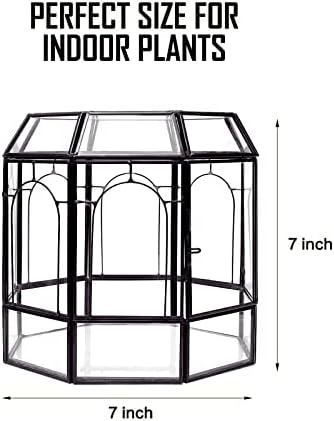 REDHUGO Large Glass Terrarium, Handmade Indoor Planter Display Box, Black - Image 3