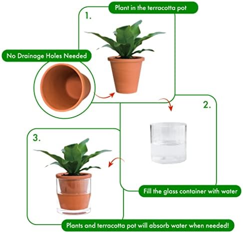 D'vine Dev Self Watering Terracotta Planter Pot, 4 in, 3-Pack, 37-Z-A-1-T - Image 4