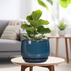 G EPGardening Ceramic Plant Pots - 9 Inch Round Modern Planter Indoor with Drainage and Tray for Indoor Outdoor Flower, Office Decor, Gardening Gifts, Retro Blue - Image 4