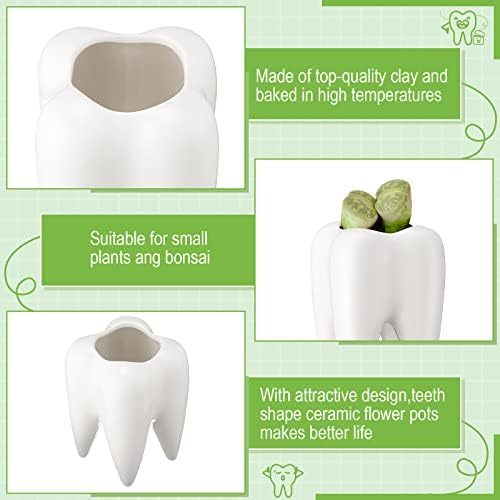 Tooth Shaped Flower Pot Dental Pots Ceramic Modern Style Teeth Pots White Cactus Bonsai Planter Container Small Cute Succulent Plant Pot for Dentists Gift Home Office Decoration, 3.9 Inch (14 Pcs) - Image 6